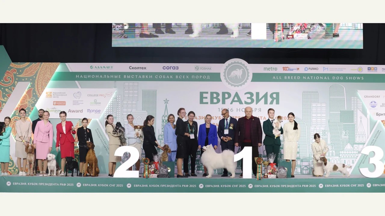Участники конкурса юного хендлера на выставке «Евразия-2025» — фото РКФ